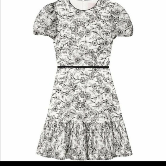 NWT Gal Meets Glam Viola Raffia Embroidered Dress Size 4 - Picture 3 of 10